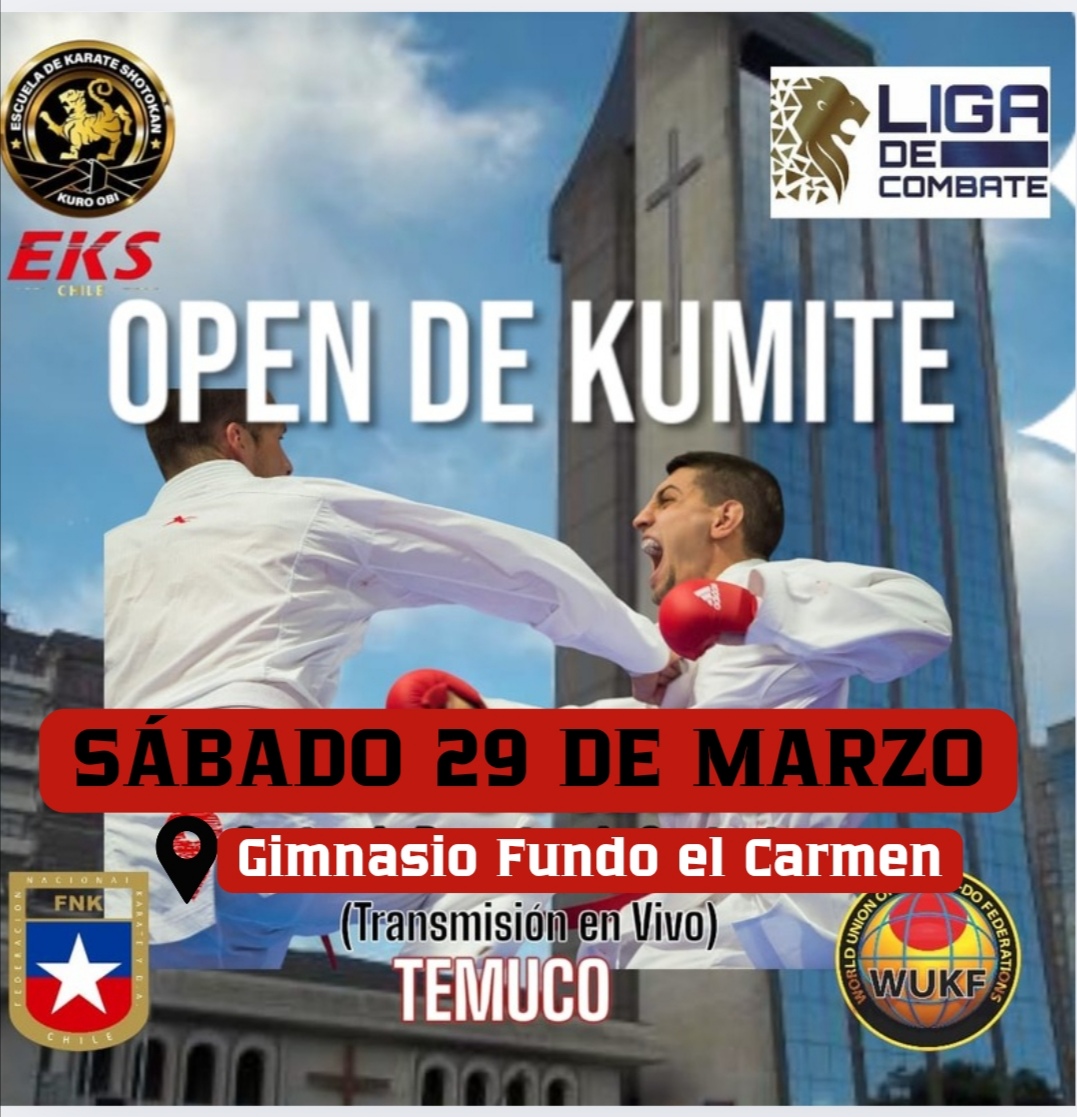 Póster oficial del torneo