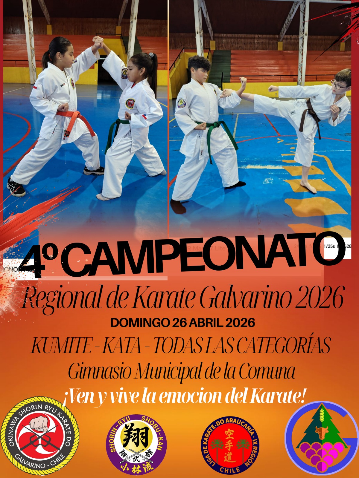 Póster oficial del torneo