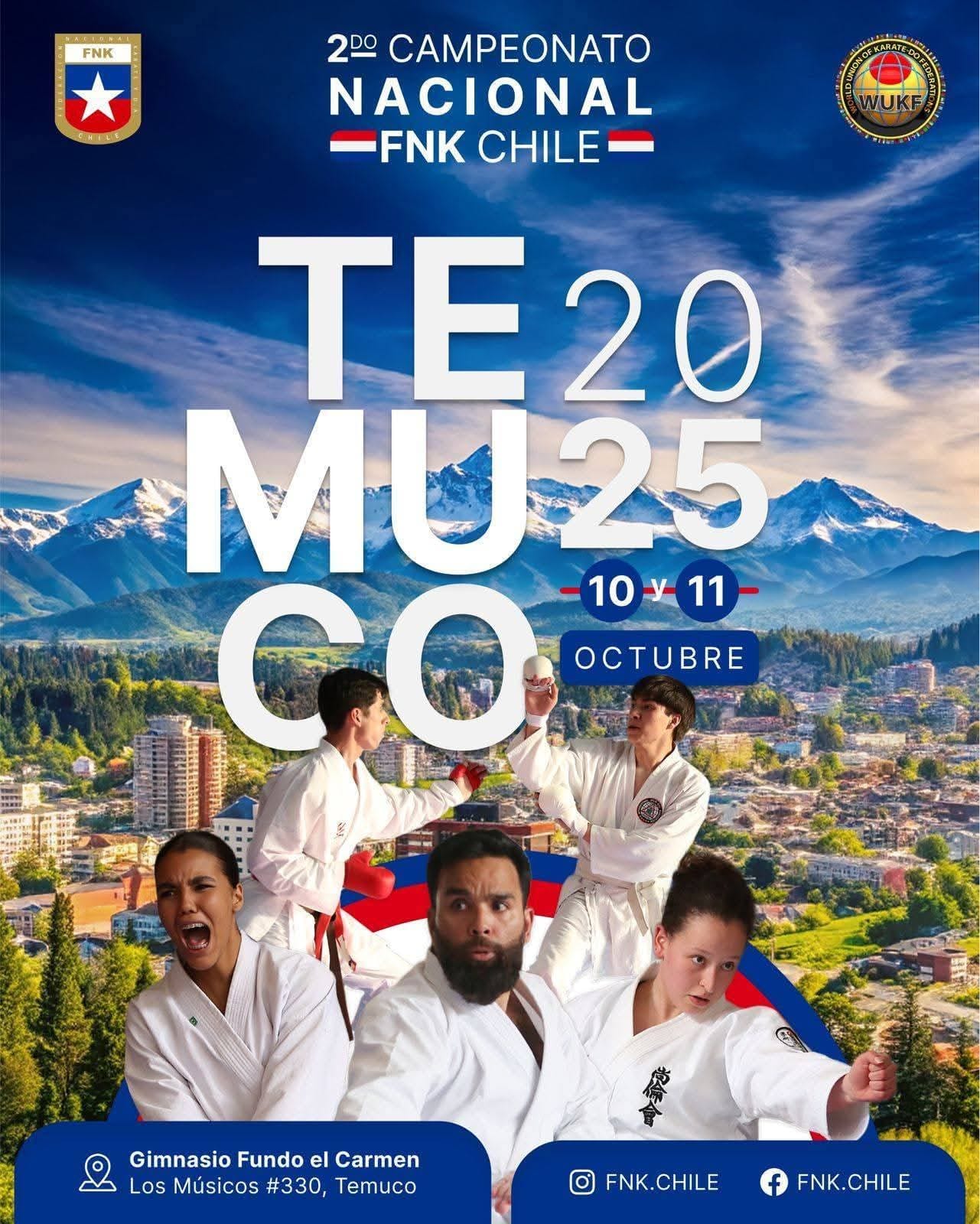 Póster oficial del torneo