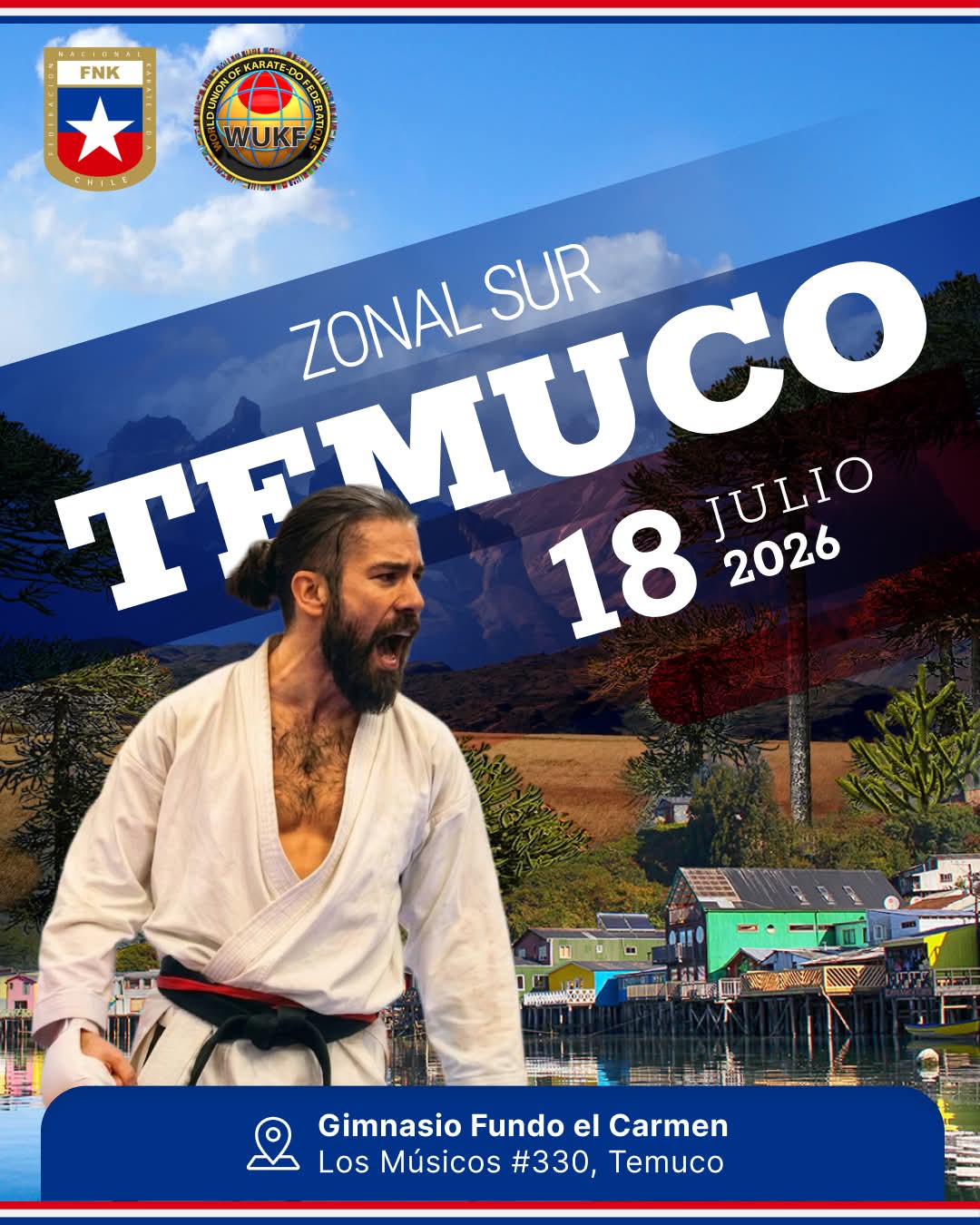 Póster oficial del torneo